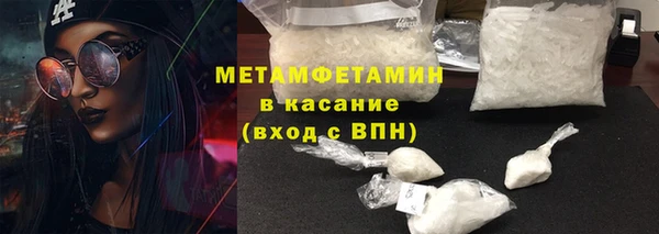 прущие грибы Балахна