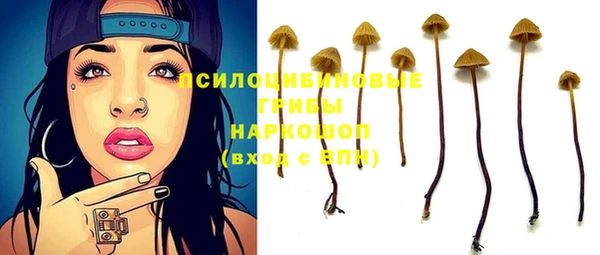 прущие грибы Балахна