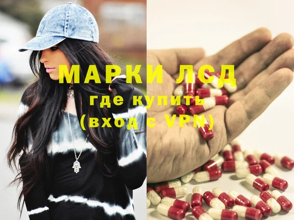 прущие грибы Балахна