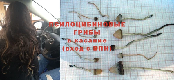 прущие грибы Балахна