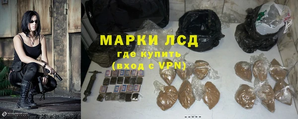 прущие грибы Балахна