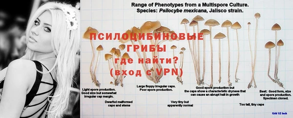 бутик Балабаново