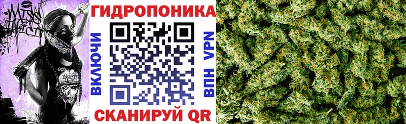 Каннабис ГИДРОПОН  Куровское 